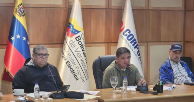 Revisan estrategias y avances de los proyectos para robustecer el SEN