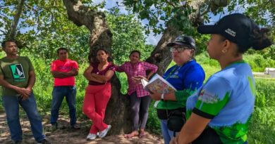 Gobierno nacional llama a la activación del 1er vértice de la Gran Misión «Madre Tierra Venezuela»