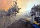 Siria logra controlar la mayoría de los incendios forestales en Latakia