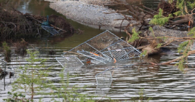 Elevan a 110 la cifra de fallecidos en Texas por las inundaciones