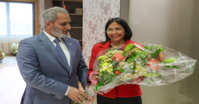 Ministra Delcy Rodríguez arriba a Viena para participar en Seminario de la OPEP