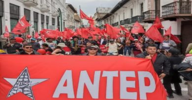 Los gremios coinciden en que los despidos se dirigieron a técnicos altamente calificados como geólogos, geofísicos, ingenieros, asistentes, operadores y otros especialistas, cuya labor es «indispensable» para la producción, transporte y comercialización de hidrocarburos en Ecuador. (Foto: ANTEP)