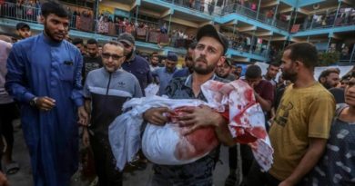 Juristas franceses exigen bloquear cargamento militar con destino a Israel