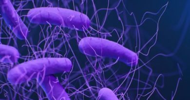 Ilustración médica de la bacteria Clostridioides difficile, antes conocida como Clostridium difficile (Foto agencias)