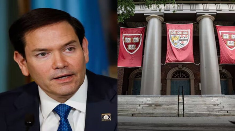 Marco Rubio arremete contra Universidad de Harvard