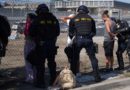 Trump ordena arrestar a quienes arrojen piedras a vehículos de los agentes del ICE