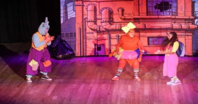 carabobenos-disfrutaron-estreno-obra-leccion-pirita