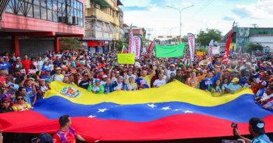 presidente-maduro-pueblo-bolivar-chavez-lucha-venciendo