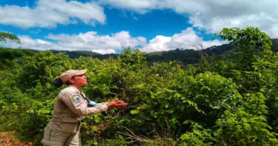 Intercambio de ideas entre Venezuela y Malí fortalece cooperación ambientalista