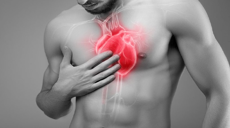 Identifican mecanismo que causa aneurismas de aorta y una posible forma de prevención