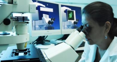 Científicos de Cuba lideran estudio innovador sobre planta medicinal caña santa
