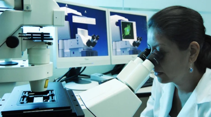 Científicos de Cuba lideran estudio innovador sobre planta medicinal caña santa