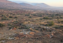 Israel amplía redadas en Cisjordania y mantiene asedio en Al-Mugayir