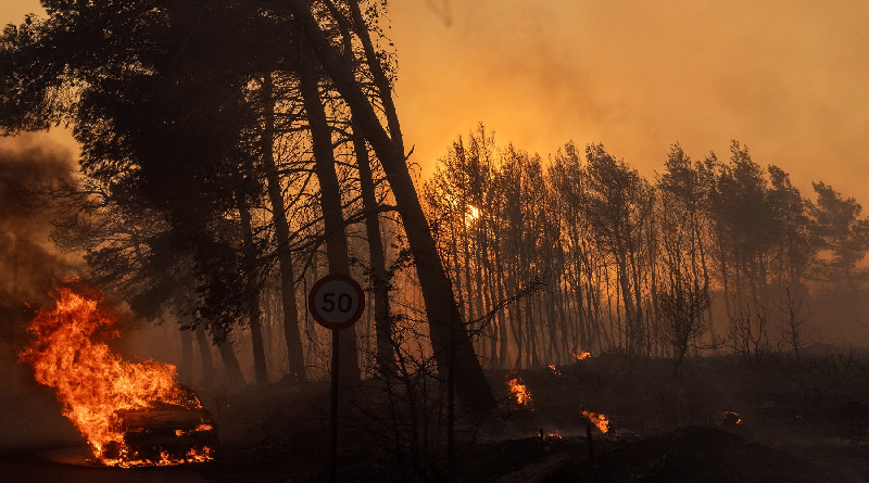 Incendios en Grecia deja miles de evacuados