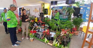 Ferias del Maíz celebran identidad yaracuyana y fomentan desarrollo económico