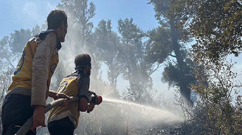 Siria intensifica lucha contra incendios forestales ante dificultades climáticas