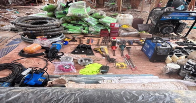 FANB detecta astillero clandestino oculto en manglares de grupos Tancol en Zulia
