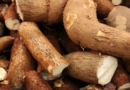 ¿Cuáles son las propiedades medicinales de la yuca?