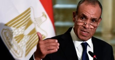 Egipto rechaza expansión y masacre israelí y exige solución política justa a Palestina