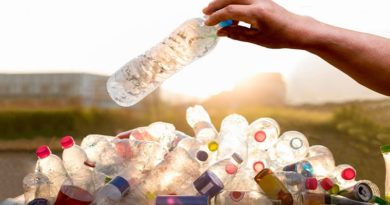 Conoce el riesgo invisible de las botellas de plástico desechables en la salud