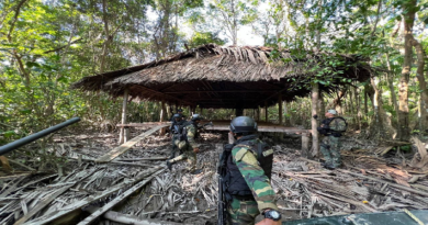 Destruyen laboratorios para elaborar explosivos y drones en Zona de Paz N°1 Táchira y Zulia