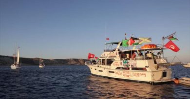 Barcos de la Flotilla Global Sumud con las banderas de Palestina en las aguas internacionales (Foto agencias)