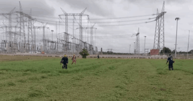 Realizan control de vegetación en 24 subestaciones guariqueñas