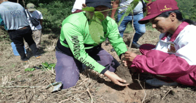 Jornada de reforestación en Sucre recupera espacios verdes para la vida