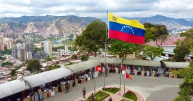 Conformadas 335 Áreas de Defensa Integral de la Milicia Bolivariana en toda Venezuela