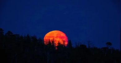África, Asia y Australia verán eclipse de Luna de Sangre este domingo 7Sep.