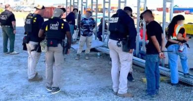 Redada del ICE detiene a 450 inmigrantes en fábrica de Hyundai en EE.UU.
