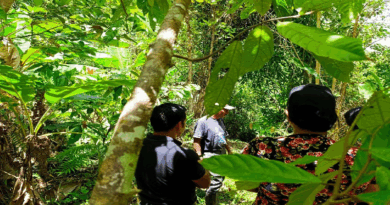 Fortalecida producción agrícola de Miranda con entrega de Kit Trabuco CLAP