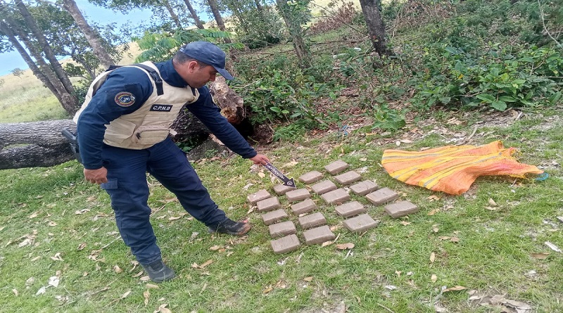 PNB incauta 10 kilogramos de marihuana en Apure