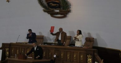 AN aprueba en primera discusión Ley Comandos para Defensa Integral de Venezuela