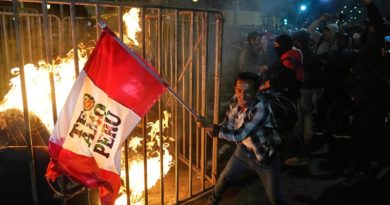 Disturbios y movilizaciones populares sacuden a Perú