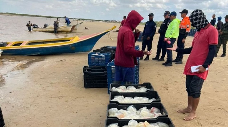 Acuerdan ordenamiento y seguridad para exportación de medusa hacia China