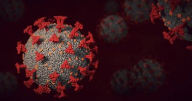 Diseñan proteínas capaces de identificar y eliminar virus específicos