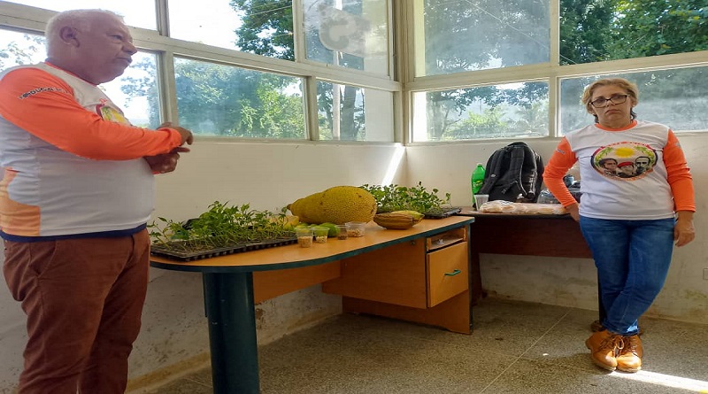 Crean mecanismos para aumentar reproducción y protección de semillas en Ocumare