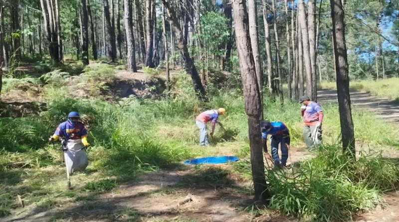 Realizan inspección preventiva contra incendios en Naguanagua