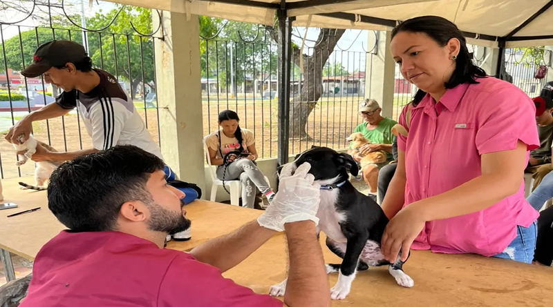 Jornada de Misión Nevado atiende animales de compañía en Anzoátegui
