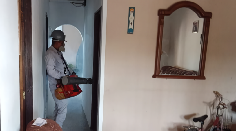 Despliegan equipo ambiental en La Guaira para erradicar criaderos de mosquitos