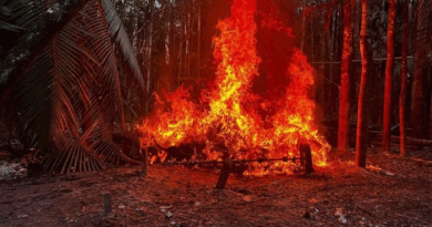 FANB destruye material de minería ilegal en el estado Amazonas