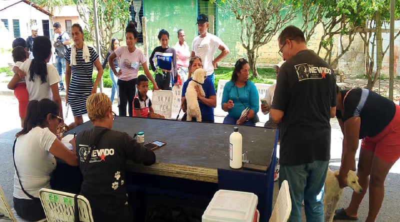 Atención veterinaria gratuita se activará en Miranda este fin de semana