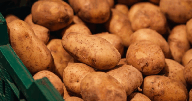 Comer papa aporta gran cantidad de vitamina C y controla el apetito