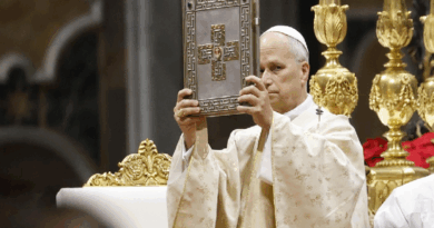 Papa León XIV hace un llamado a la paz y a la responsabilidad por los que sufren